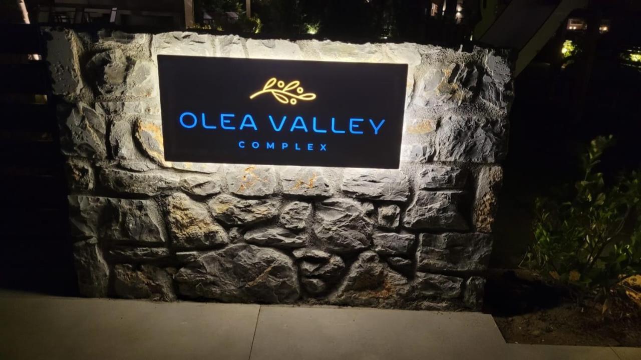 Luxury Apartment Nikiti Olea Valley Екстер'єр фото
